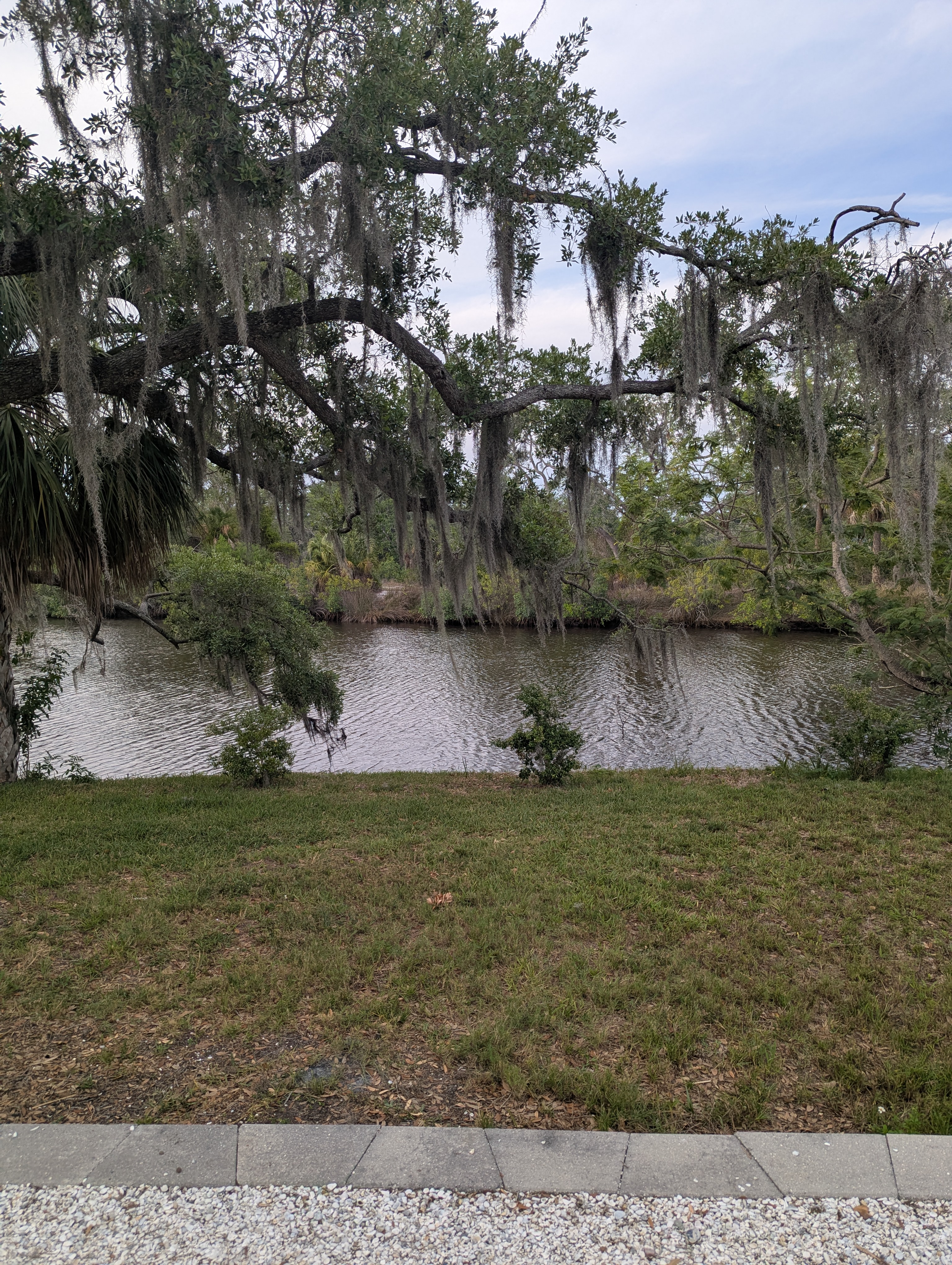 Idyllic view of a canal with trees, hanging moss, and blue skies. The view from our campsite! 